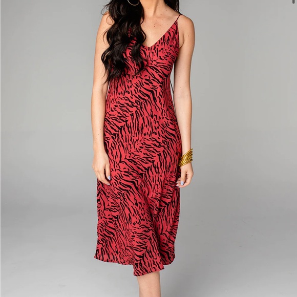 Buddy Love Dresses & Skirts - BuddyLove Tiff Midi Slip Dress in Tigers Blood SZ XS EUC